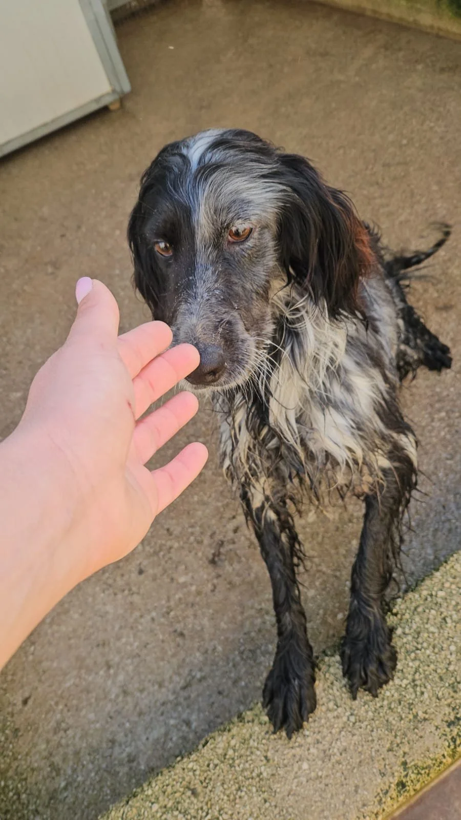 PHOTO-2026-02-03-11-34-25 2.jpg