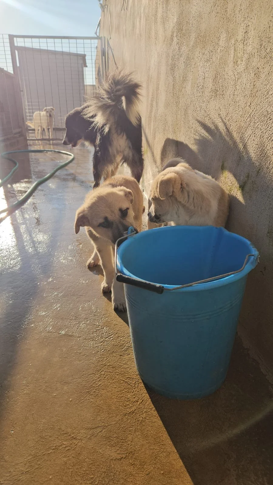 PHOTO-2026-02-02-08-56-46 3.jpg