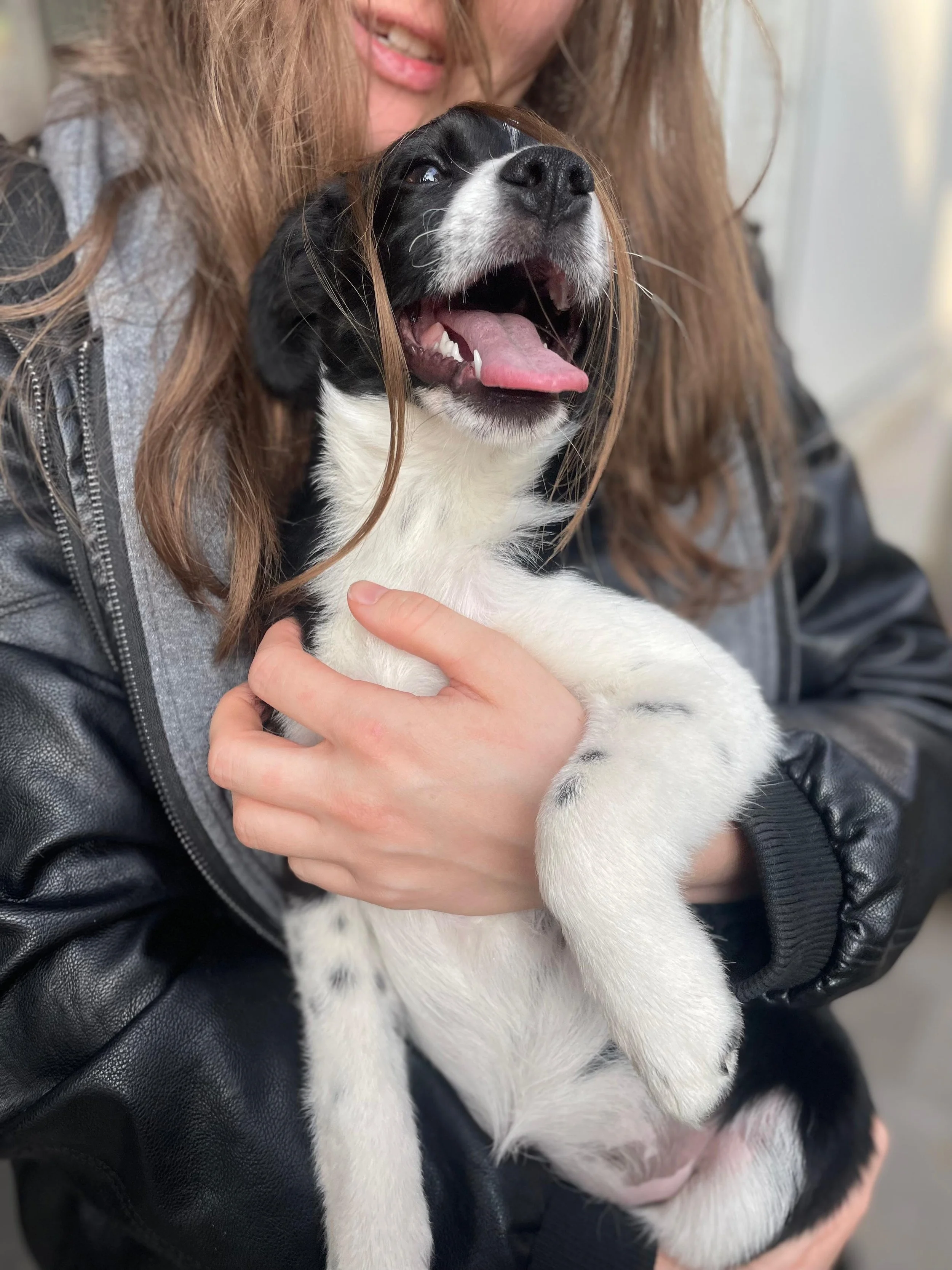 PHOTO-2026-03-11-14-45-36 5.jpg