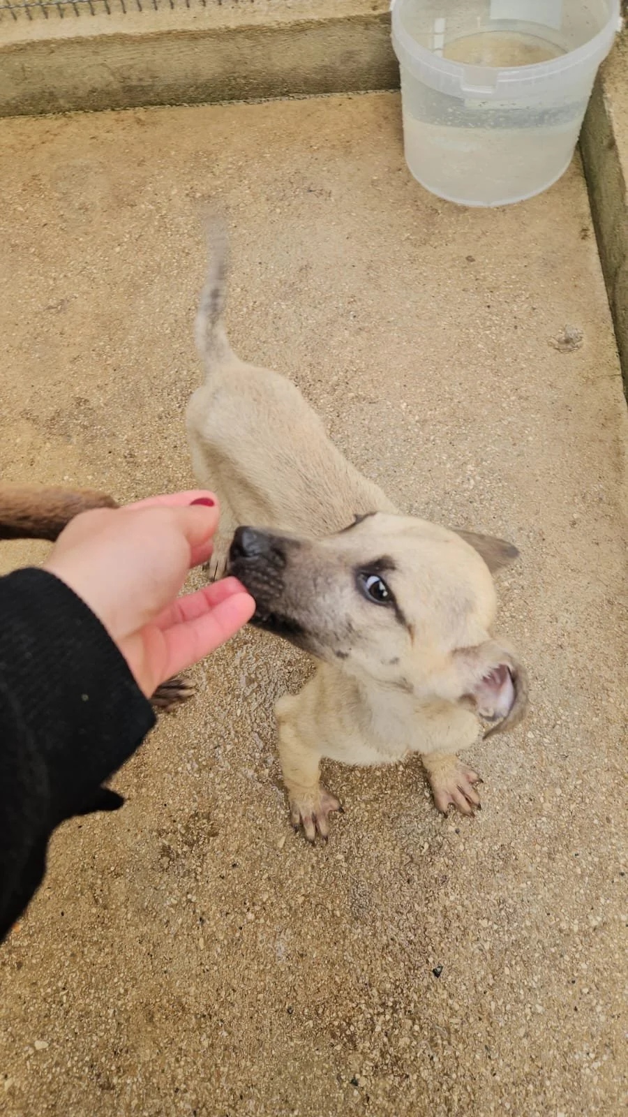 PHOTO-2026-04-09-09-42-42 2.jpg