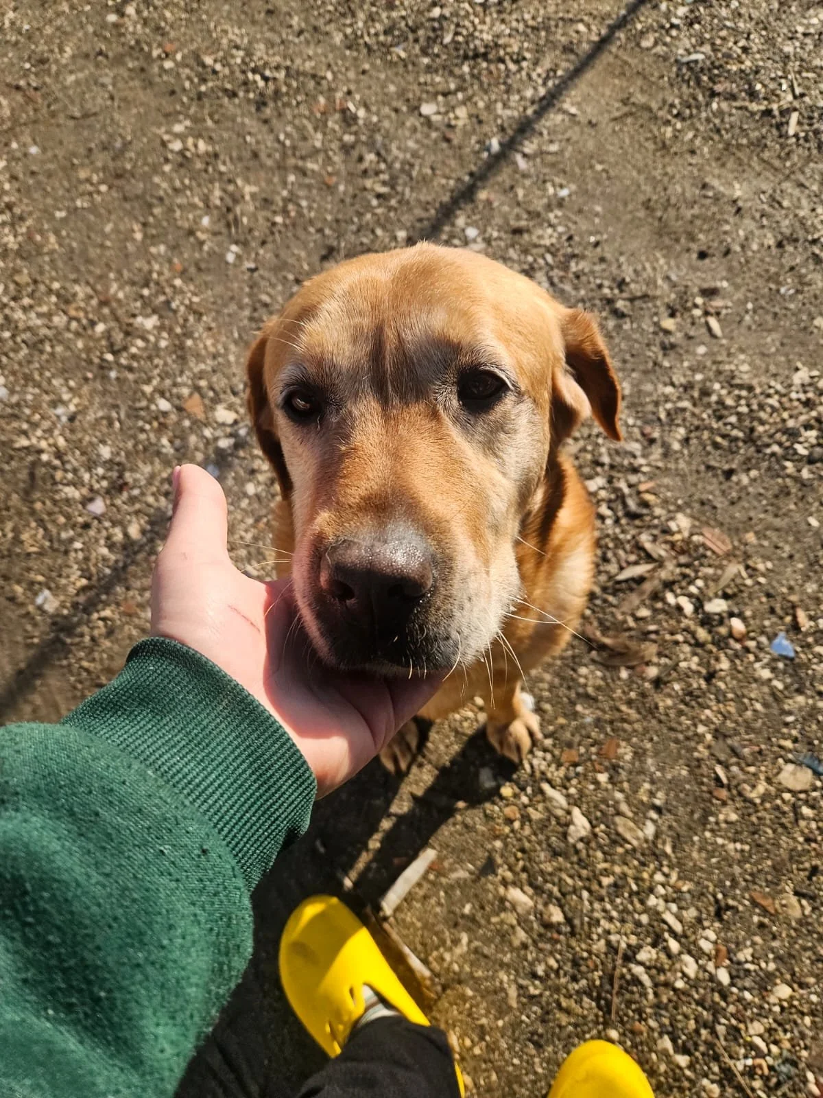 PHOTO-2026-02-03-11-53-49 5.jpg