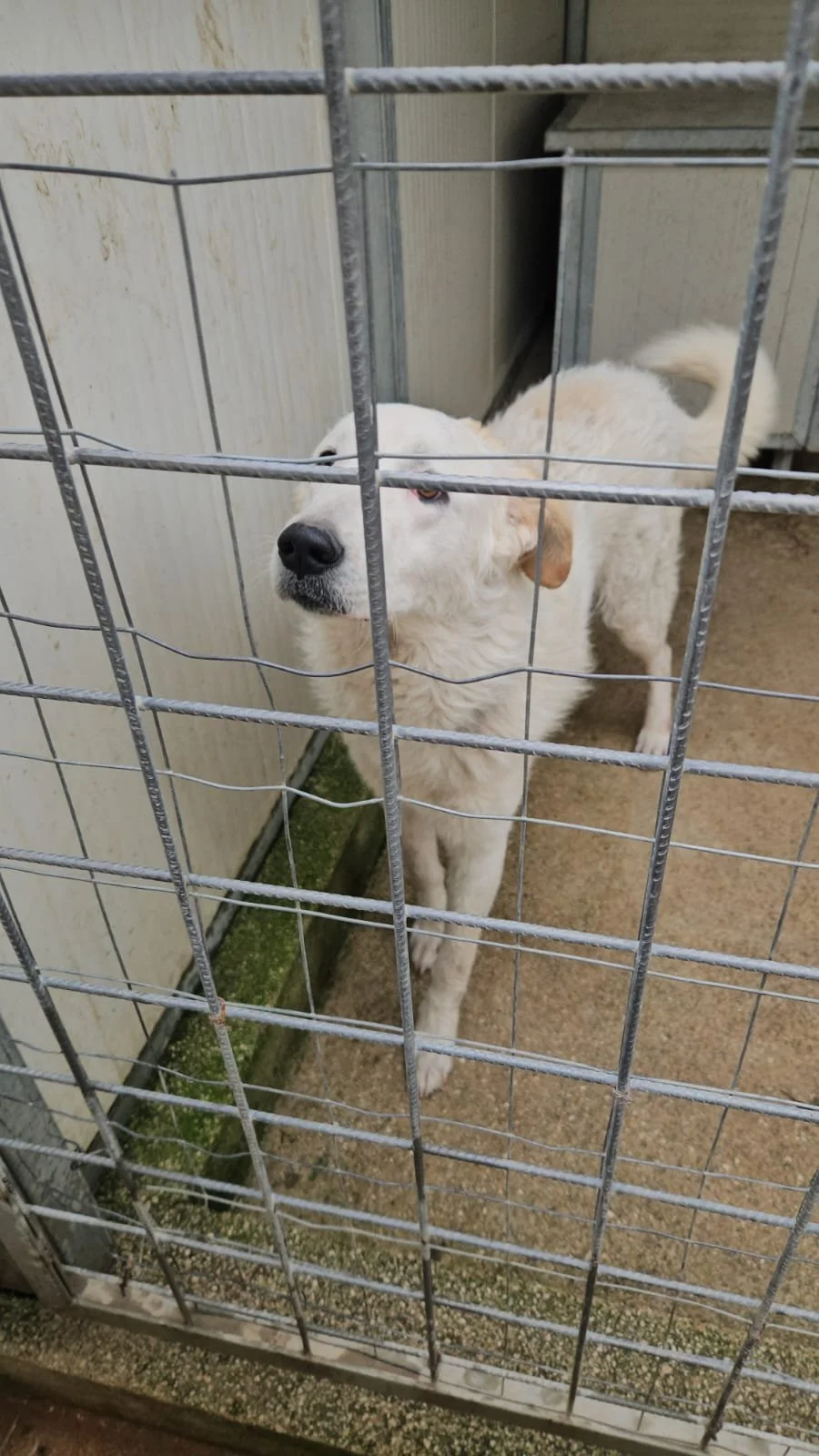 PHOTO-2026-01-07-15-24-13 7.jpg