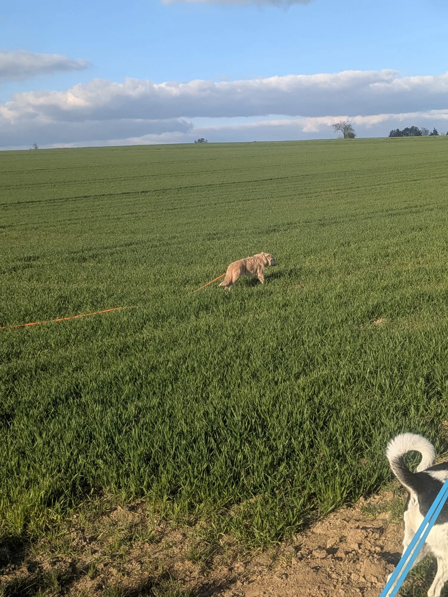 PHOTO-2026-03-27-19-52-47 2.jpg