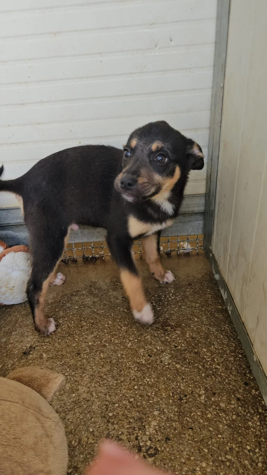 PHOTO-2026-03-21-10-22-19 4.jpg