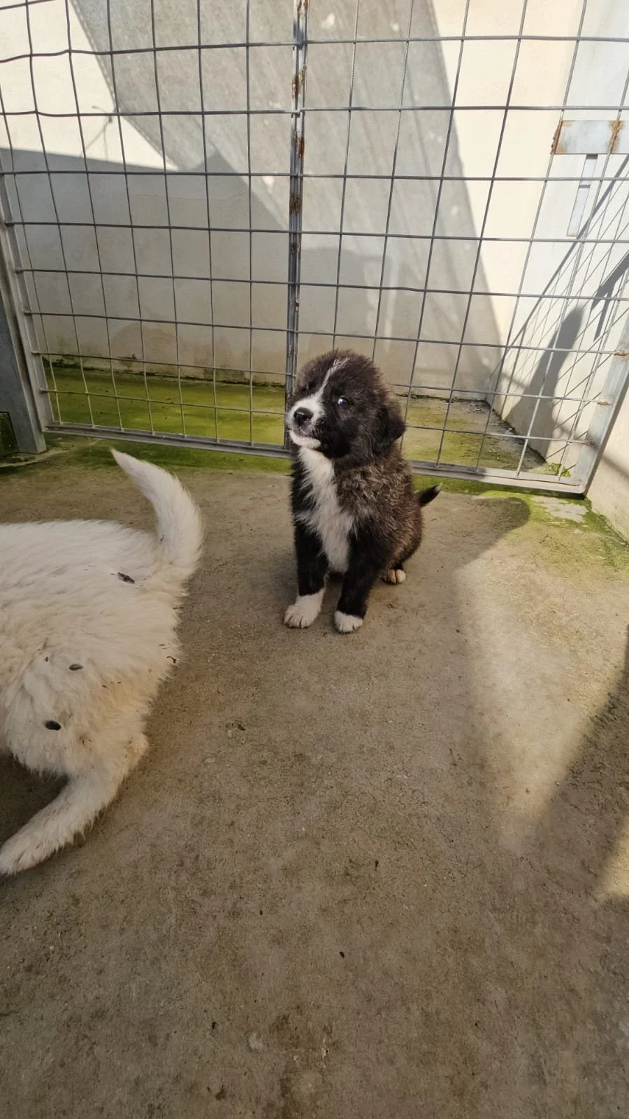 PHOTO-2025-12-10-12-24-12 2.jpg