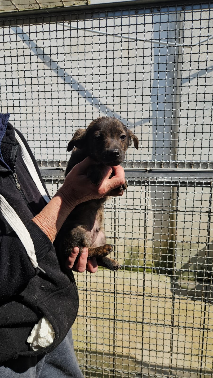 PHOTO-2026-03-20-12-49-41 2.jpg