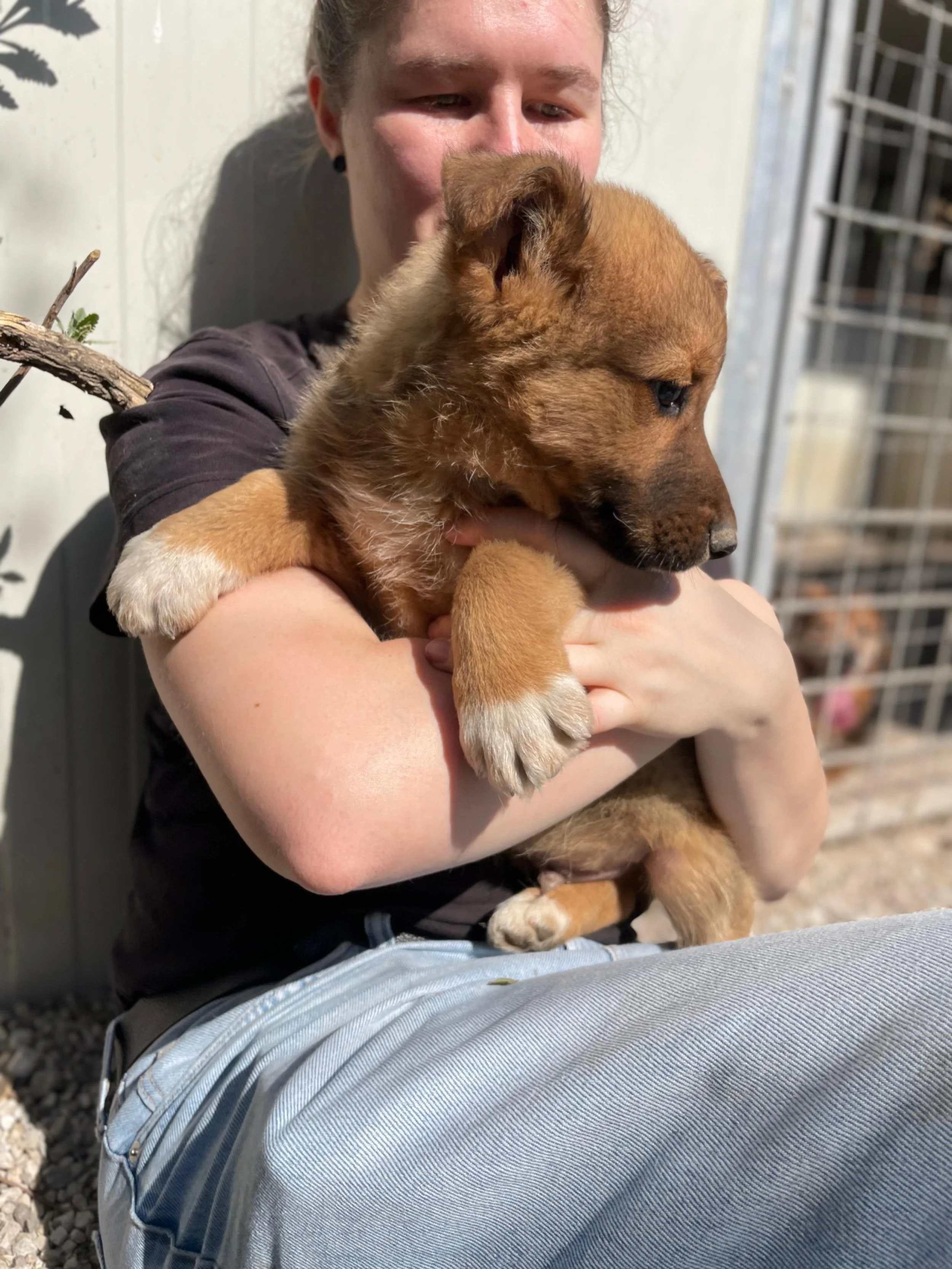 PHOTO-2026-03-11-14-15-59 4.jpg