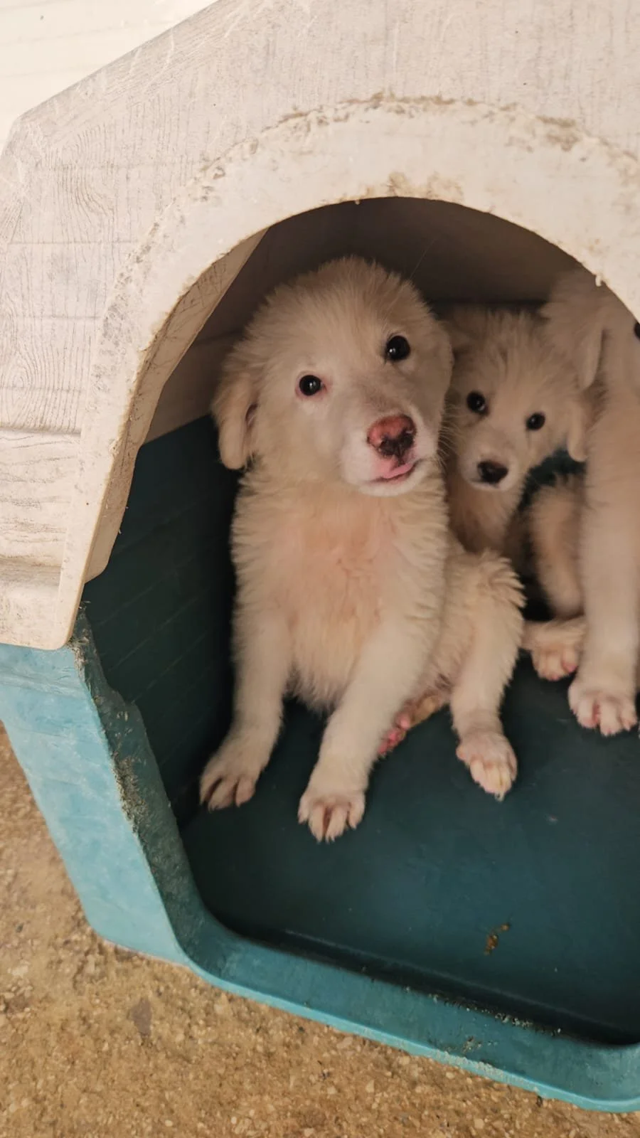 PHOTO-2026-07-29-09-27-15.jpg