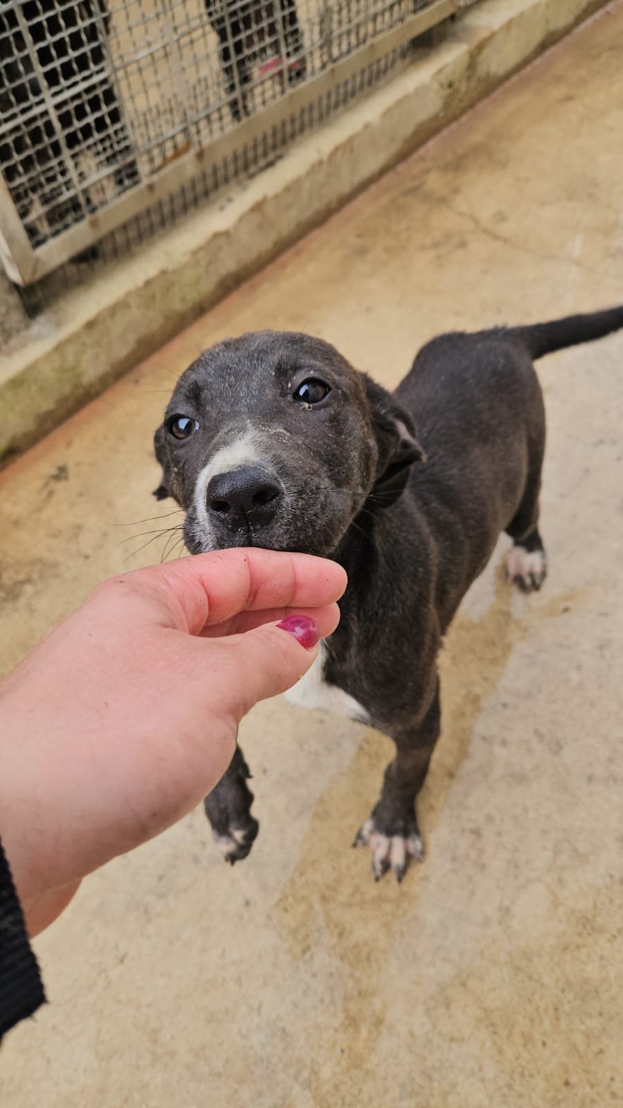 PHOTO-2026-04-09-09-33-18 3.jpg