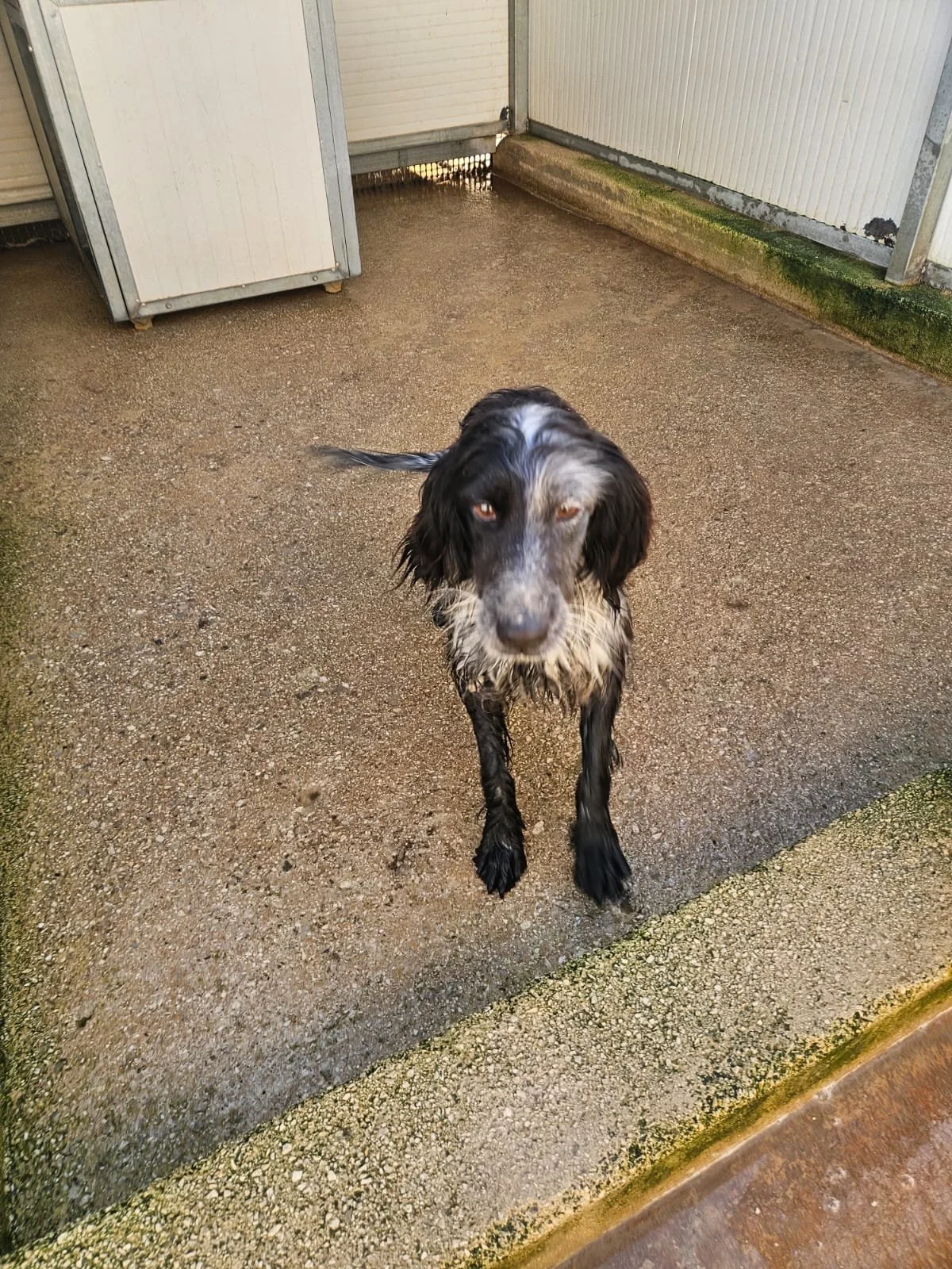 PHOTO-2026-02-03-11-34-32 2.jpg