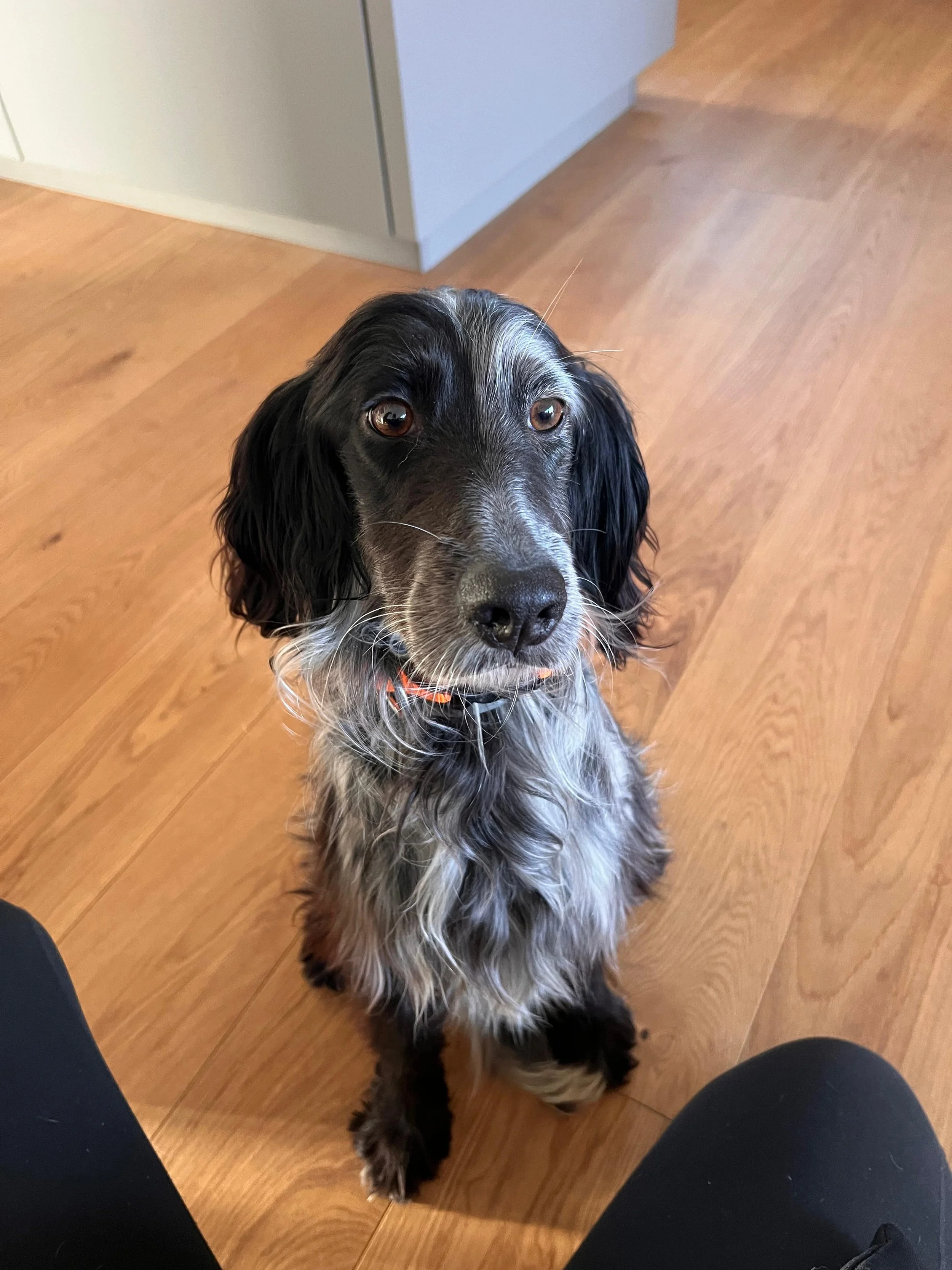 RAYA - PS (RESERVIERT)