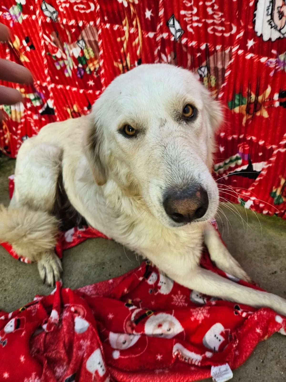 PHOTO-2025-12-10-09-56-24 2.jpg