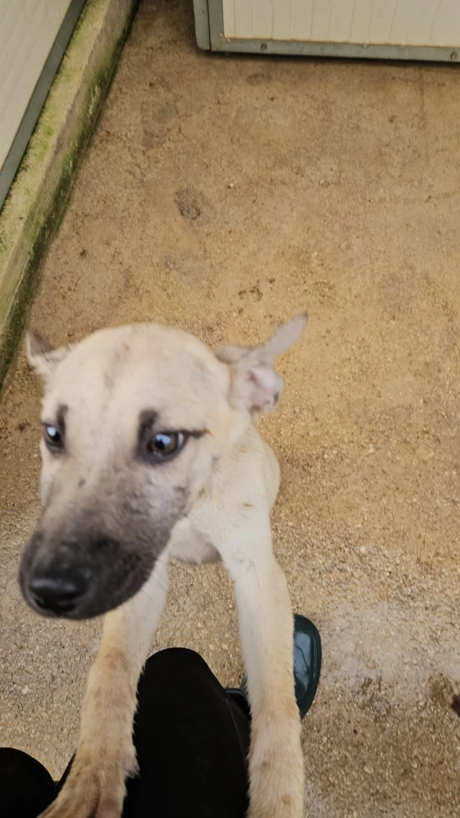 PHOTO-2026-04-09-09-42-44 2.jpg