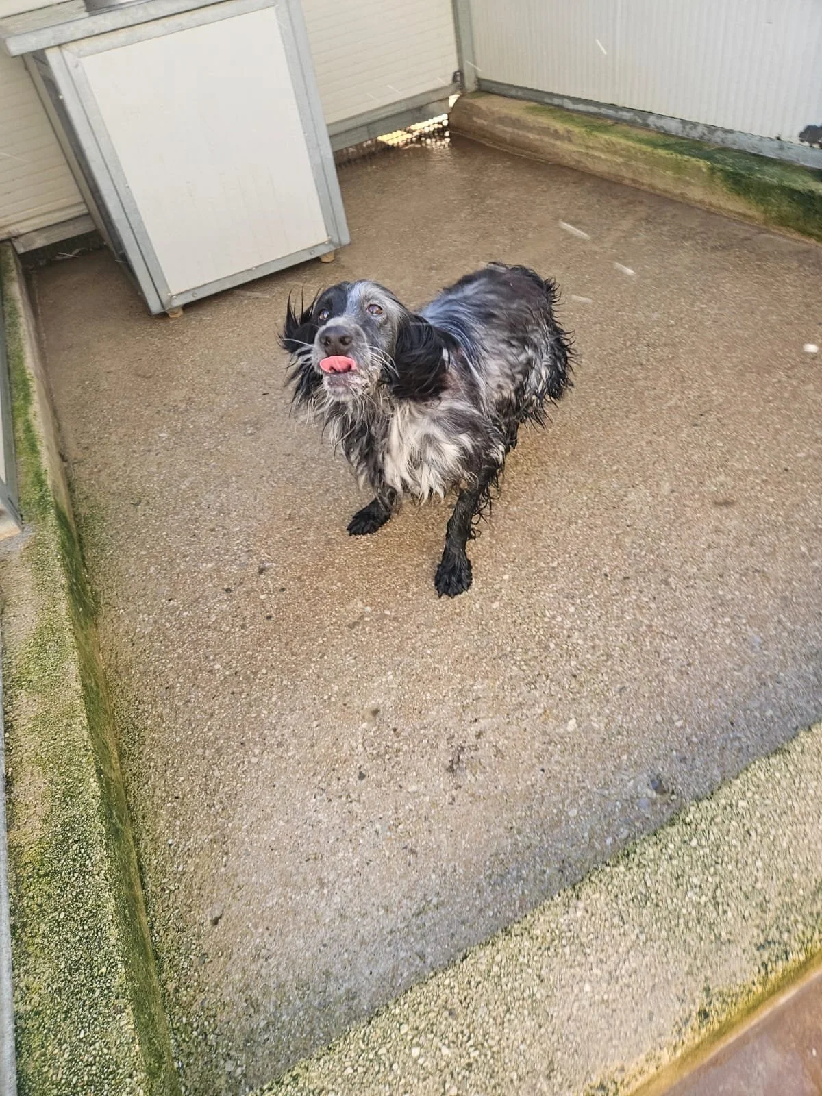 PHOTO-2026-02-03-11-34-15 2.jpg