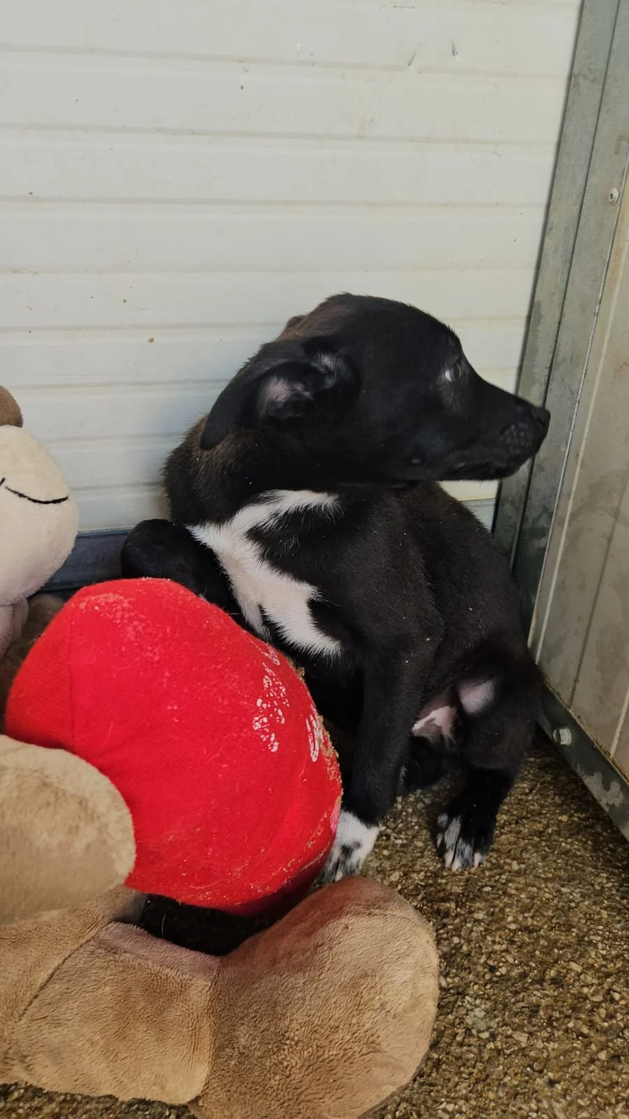 PHOTO-2026-03-21-10-22-30 2.jpg