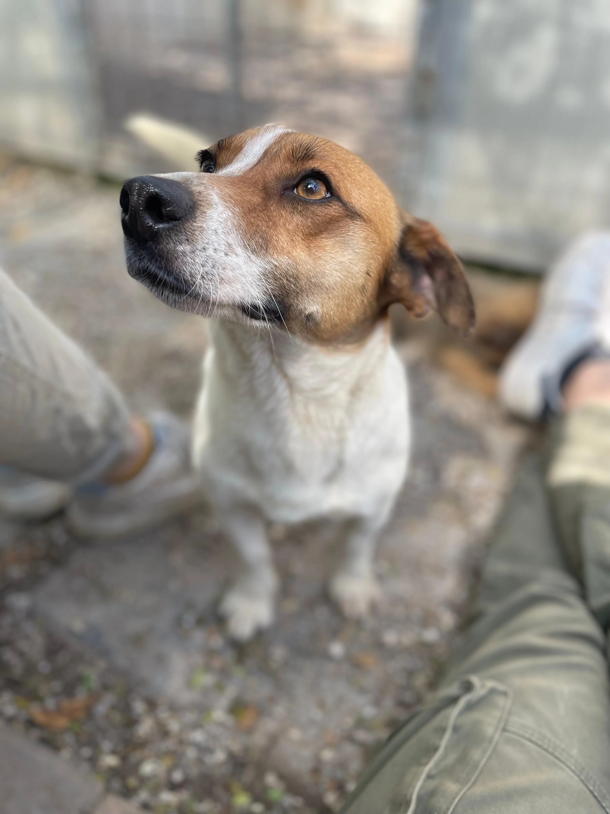 PHOTO-2026-03-11-14-26-18 4.jpg