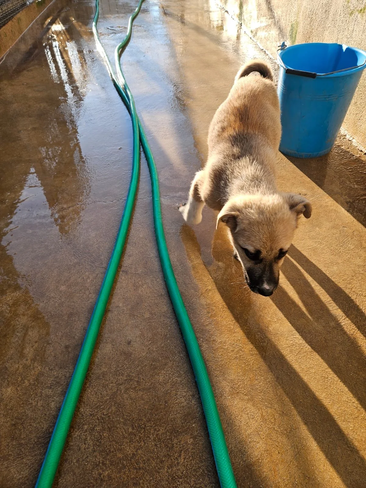 PHOTO-2026-02-02-08-56-49 2.jpg