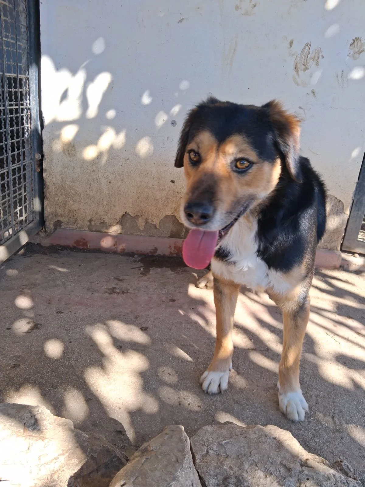 WhatsApp Image 2026-03-19 at 09.53.01 (3).jpeg