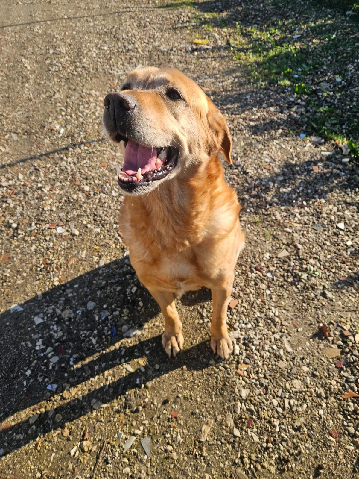 PHOTO-2026-02-03-11-53-49 6.jpg