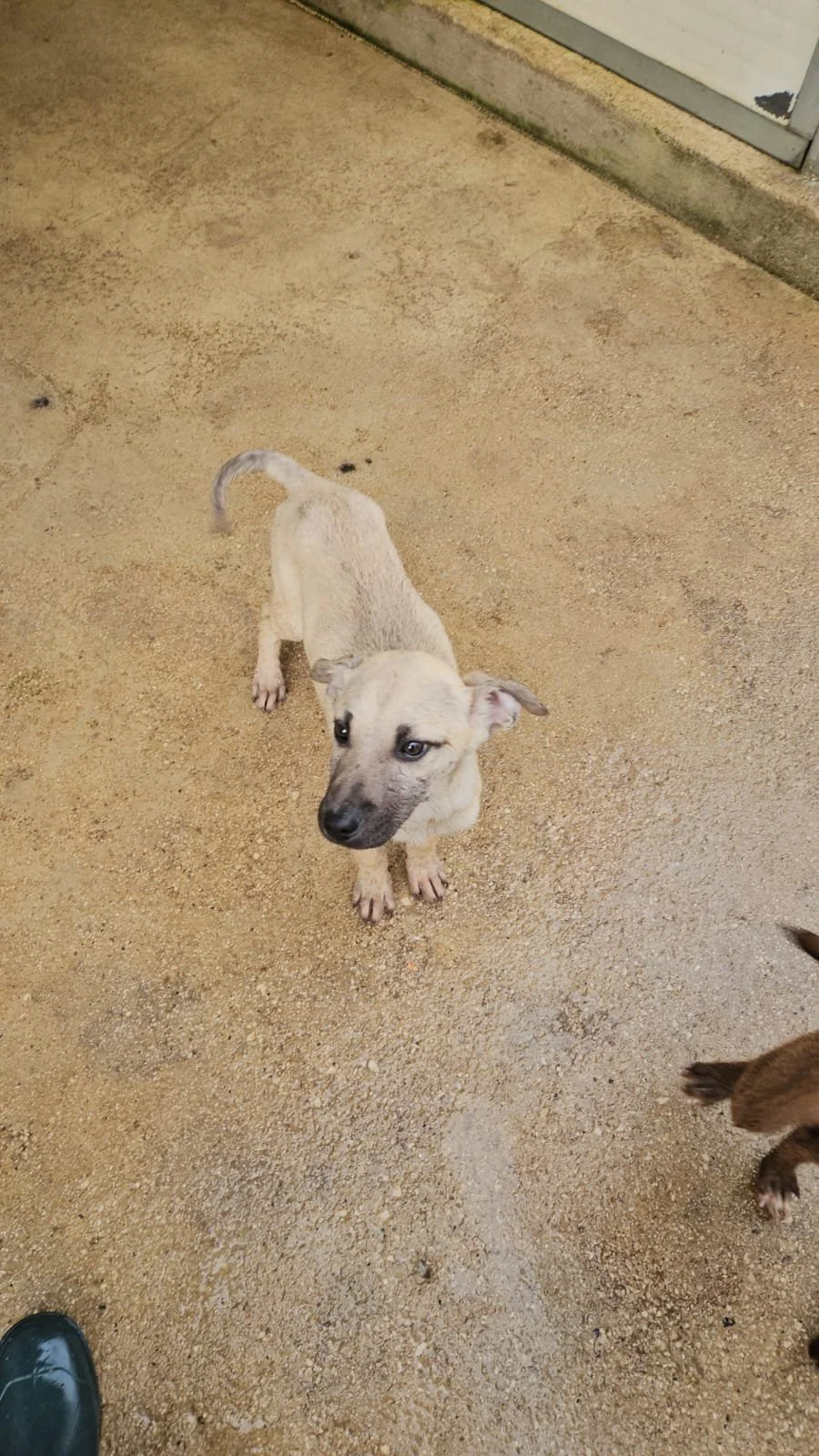 PHOTO-2026-04-09-09-42-44 4.jpg