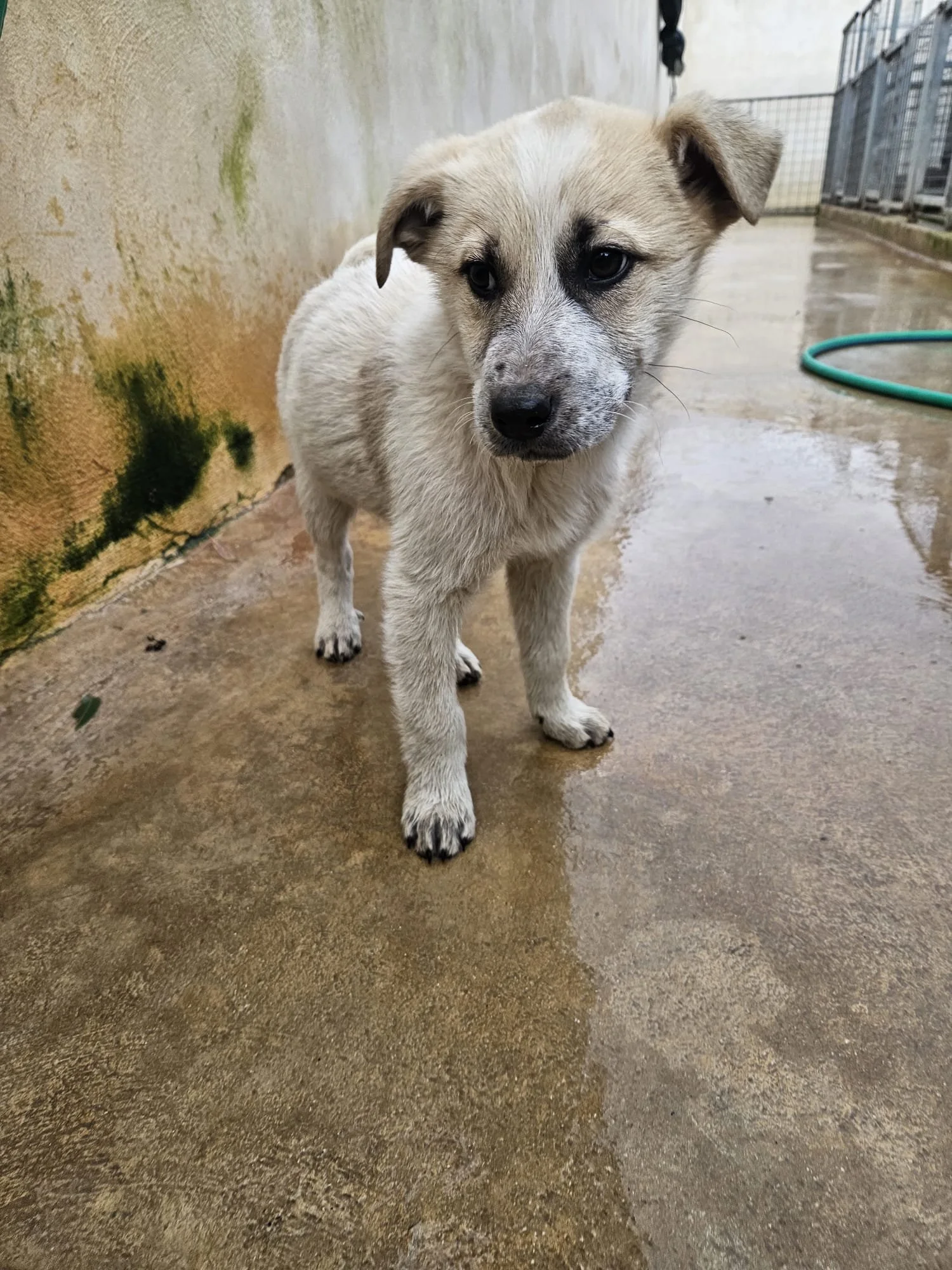 PHOTO-2026-01-20-09-40-35 2.jpg