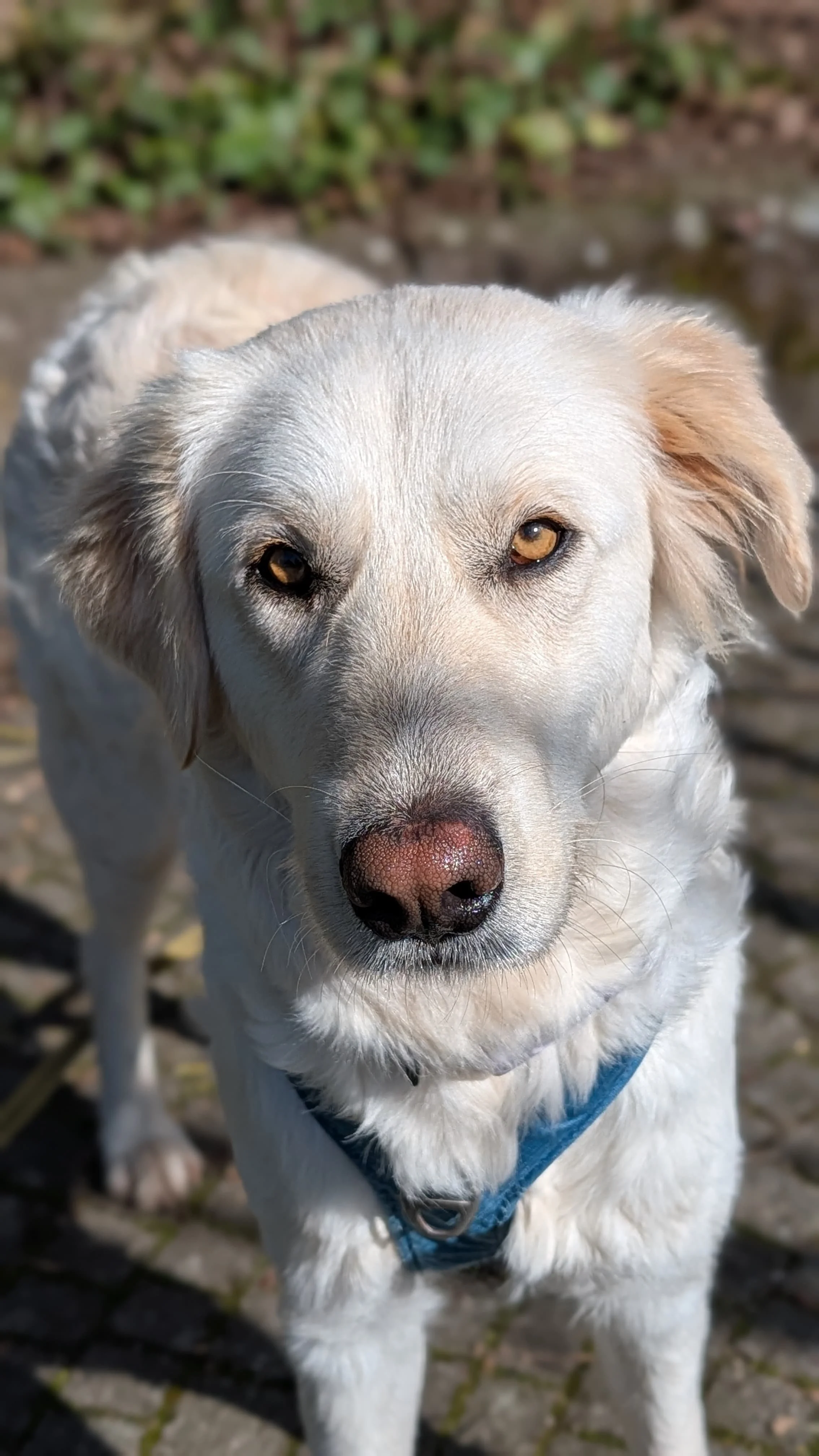 WhatsApp Image 2026-04-08 at 14.38.15 (1).jpeg