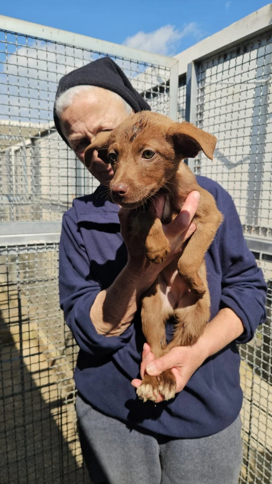 PHOTO-2026-03-20-12-21-50 3.jpg