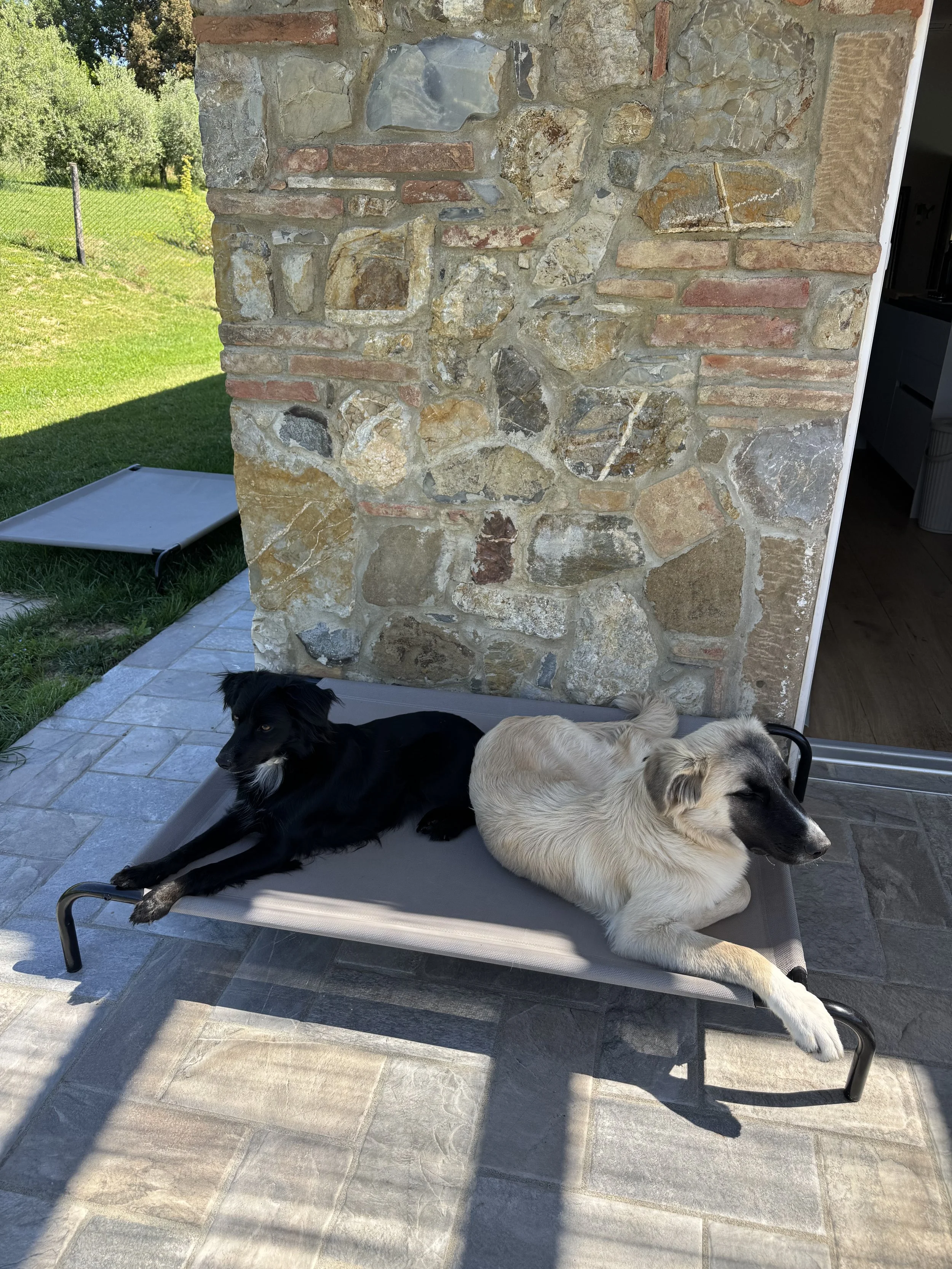 IMG_6156.jpeg