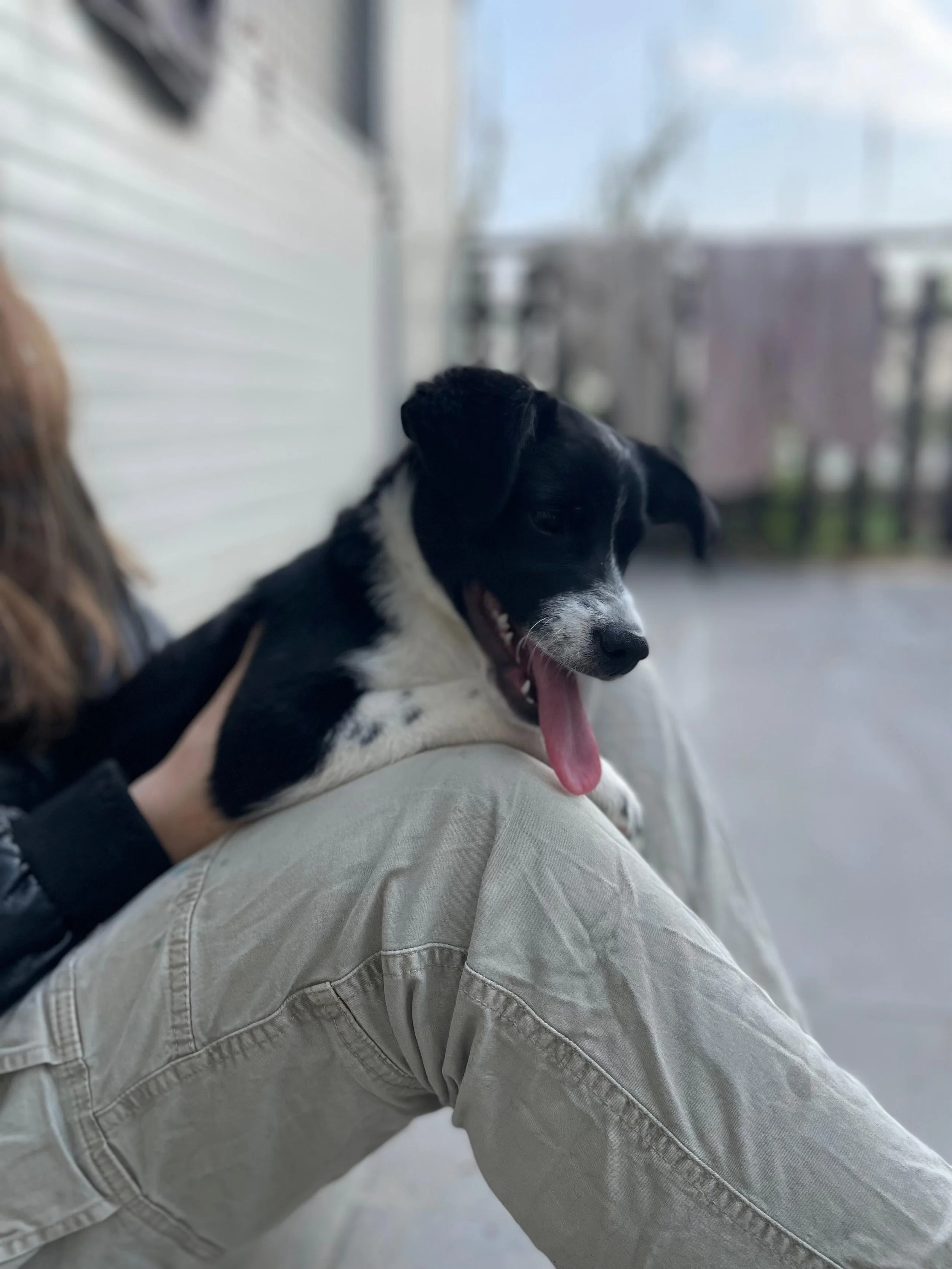 PHOTO-2026-03-11-14-45-35 4.jpg