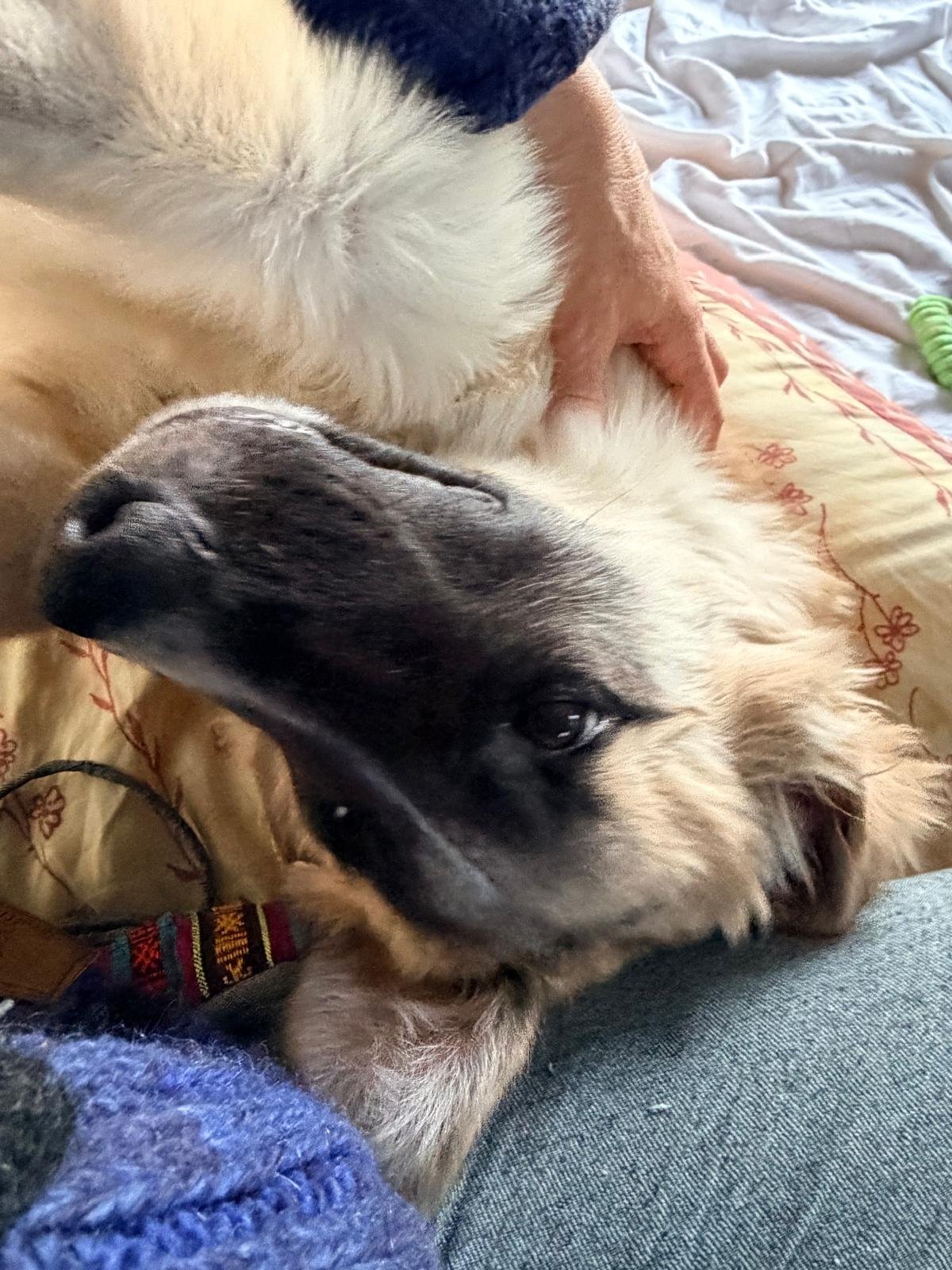 WhatsApp Image 2026-04-11 at 16.59.43.jpeg