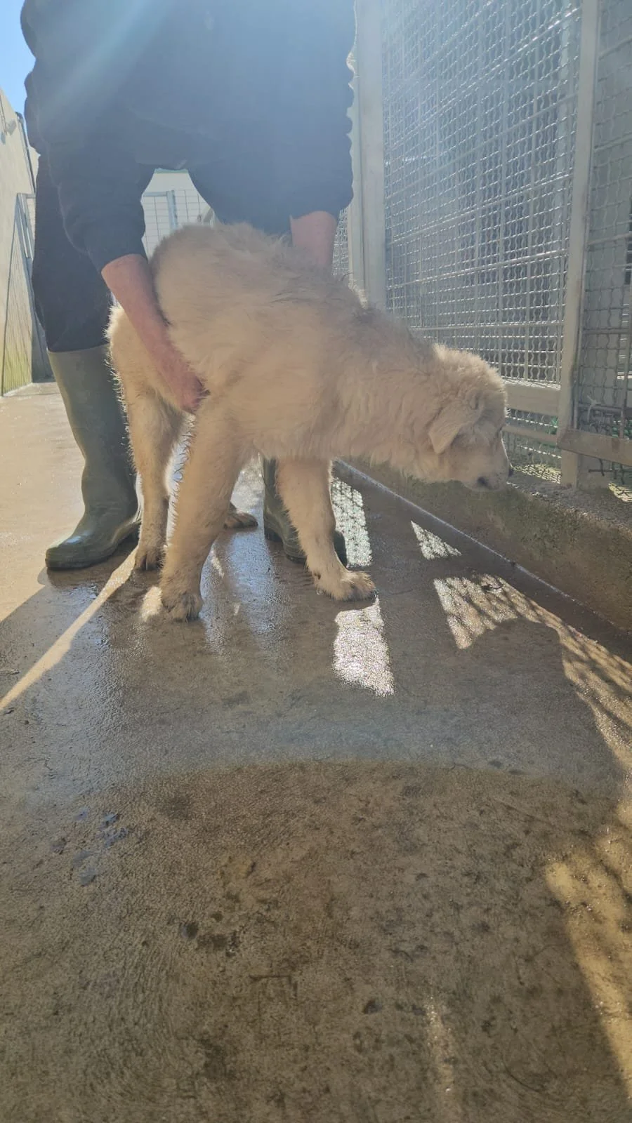 PHOTO-2026-02-02-12-38-47 3.jpg