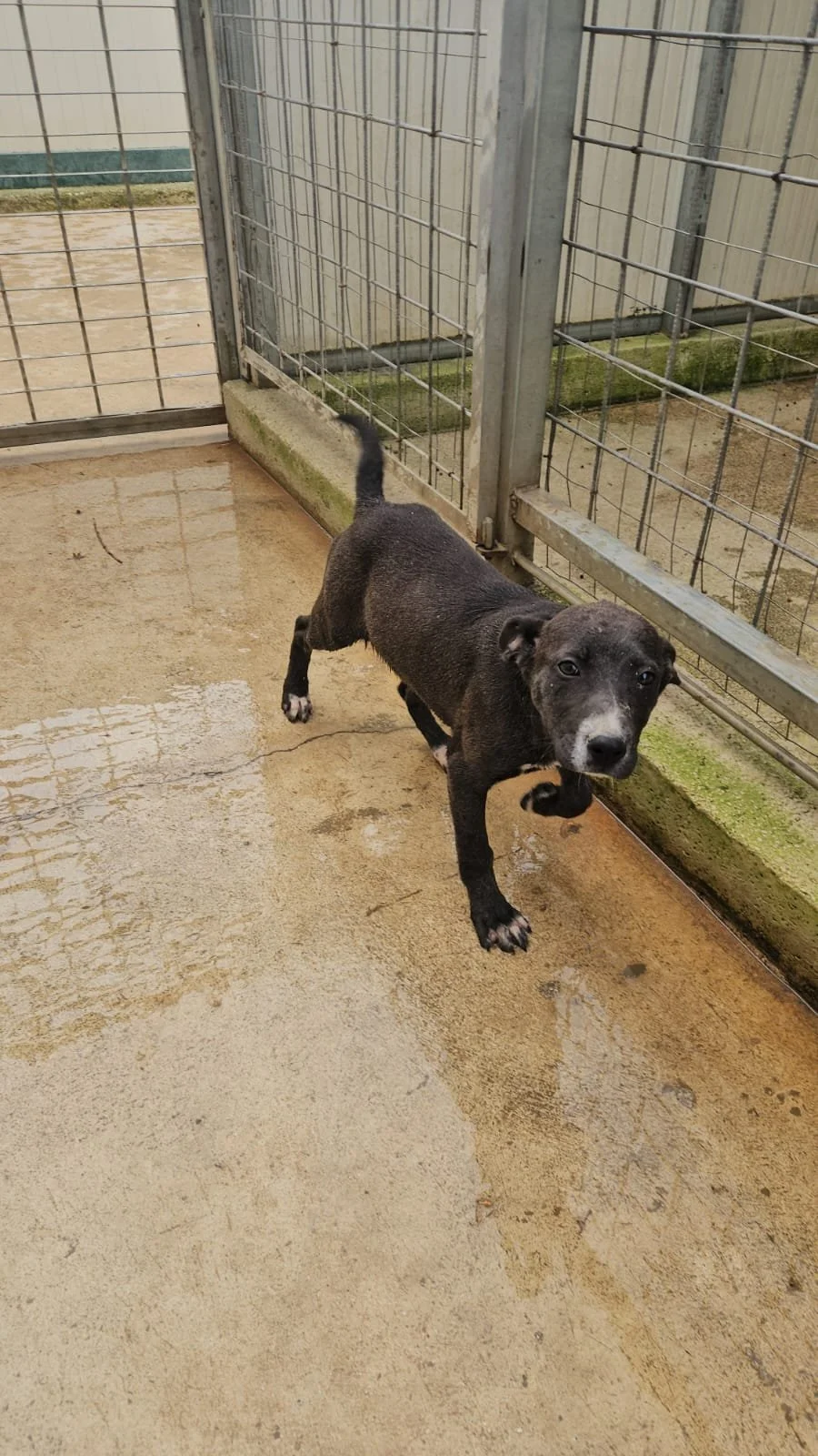 PHOTO-2026-04-09-09-32-14 2.jpg