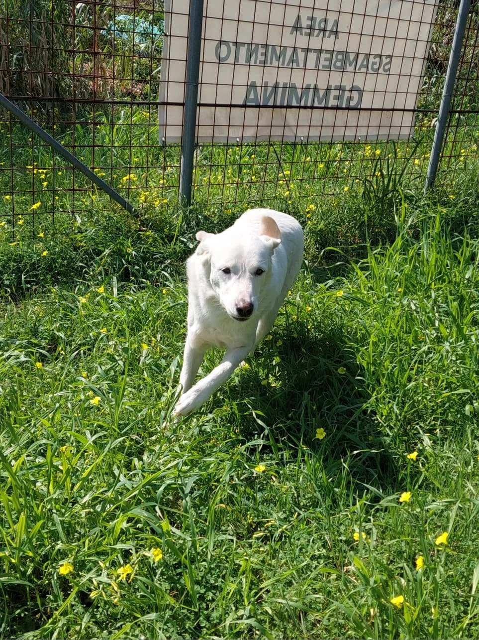 PHOTO-2026-03-15-19-10-43 4.jpg