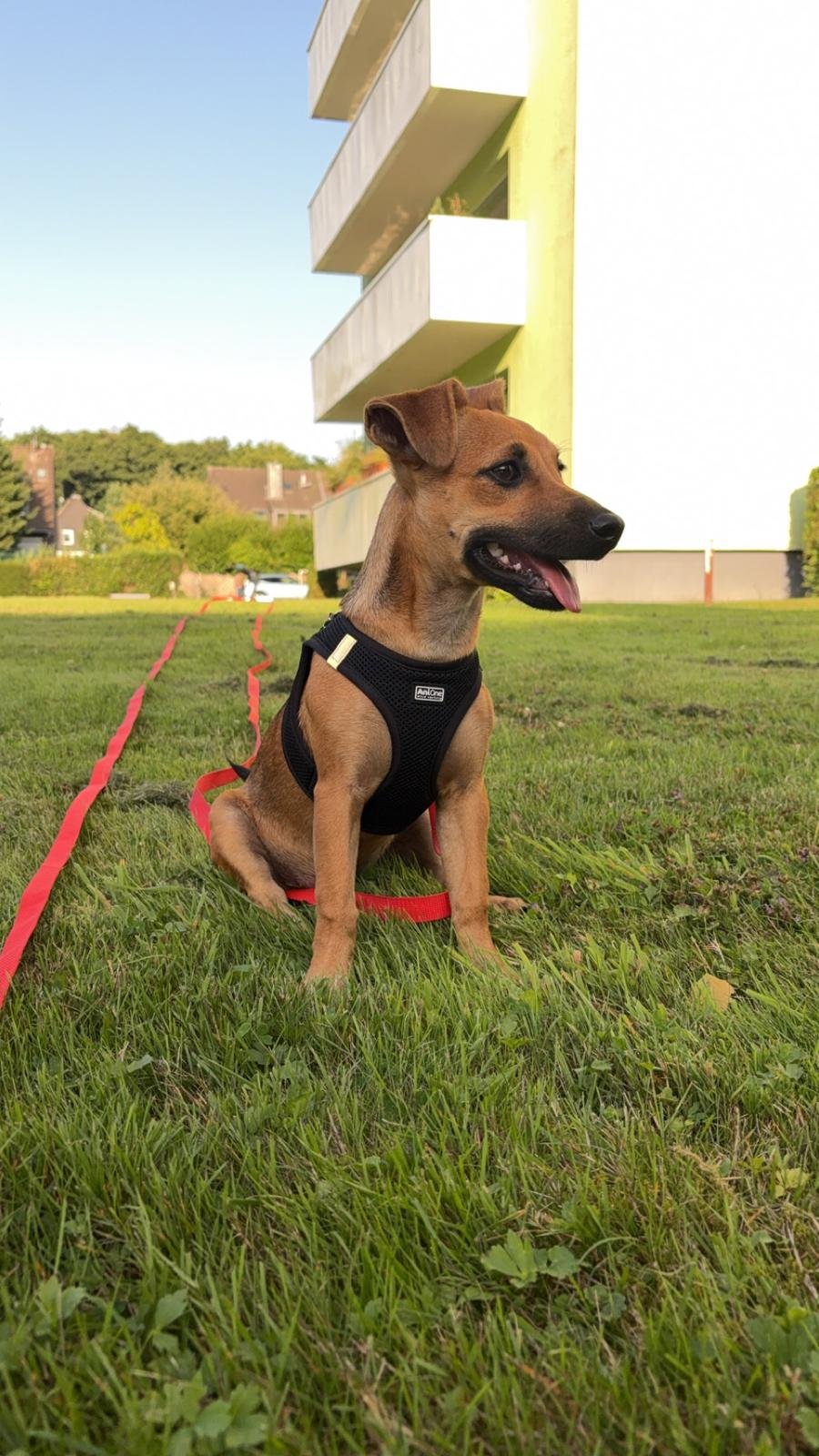 WhatsApp Image 2026-01-31 at 11.39.00.jpeg