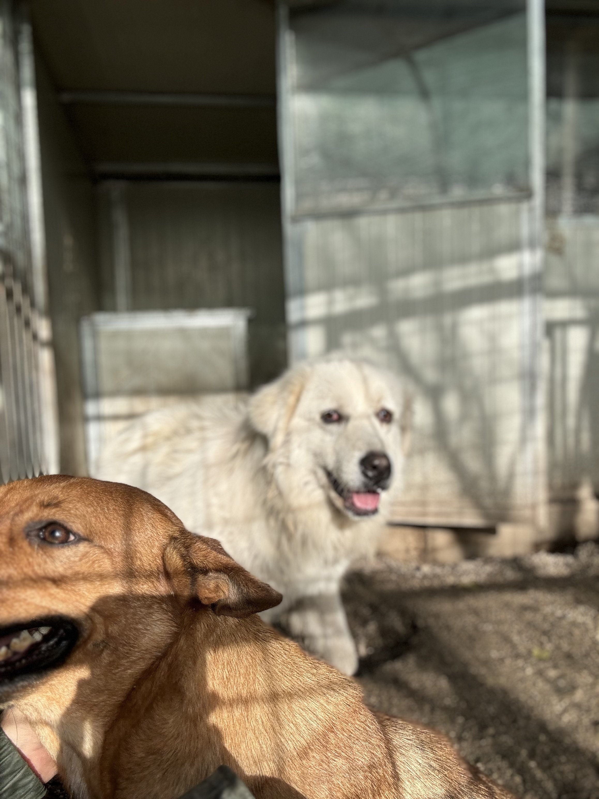 IMG_8064.jpeg