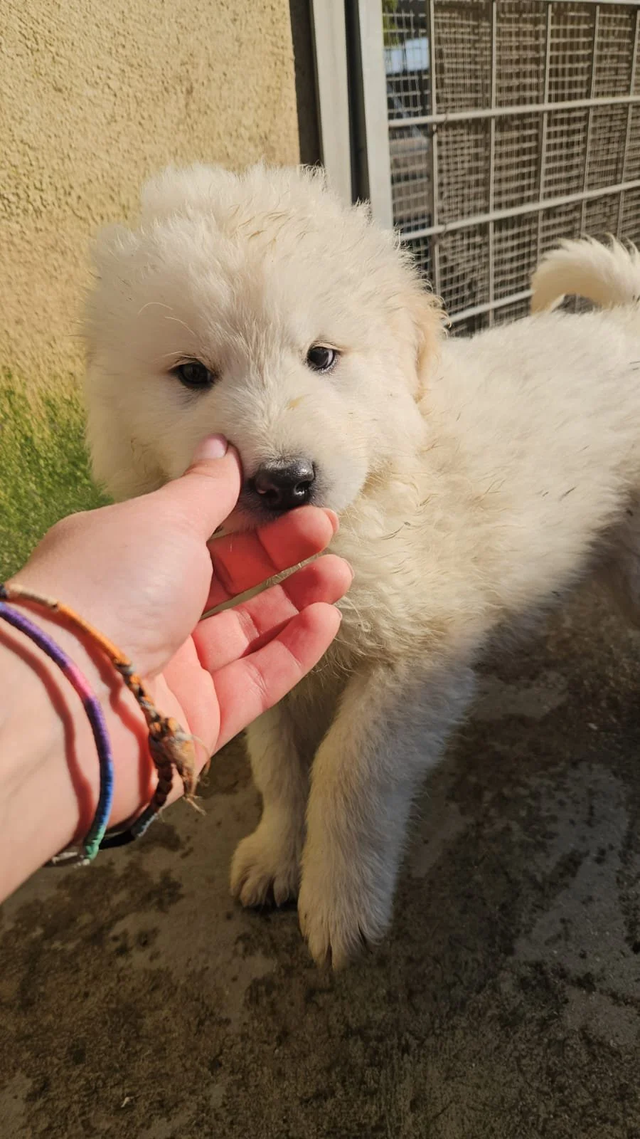 PHOTO-2025-12-10-12-26-20 2.jpg