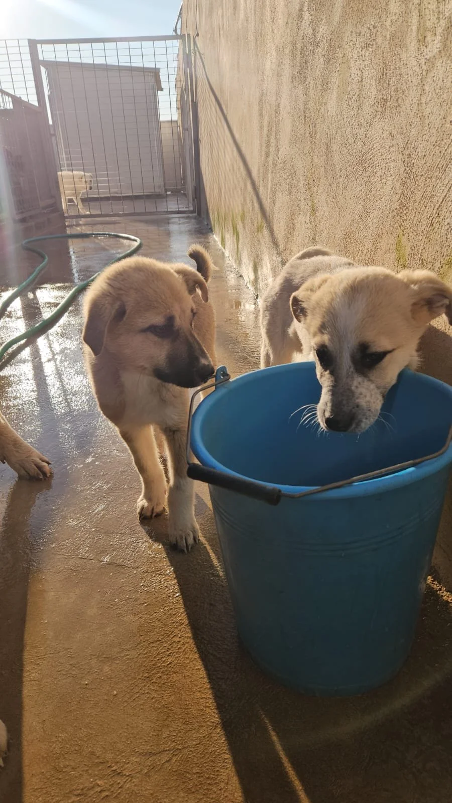 PHOTO-2026-02-02-08-56-47 4.jpg