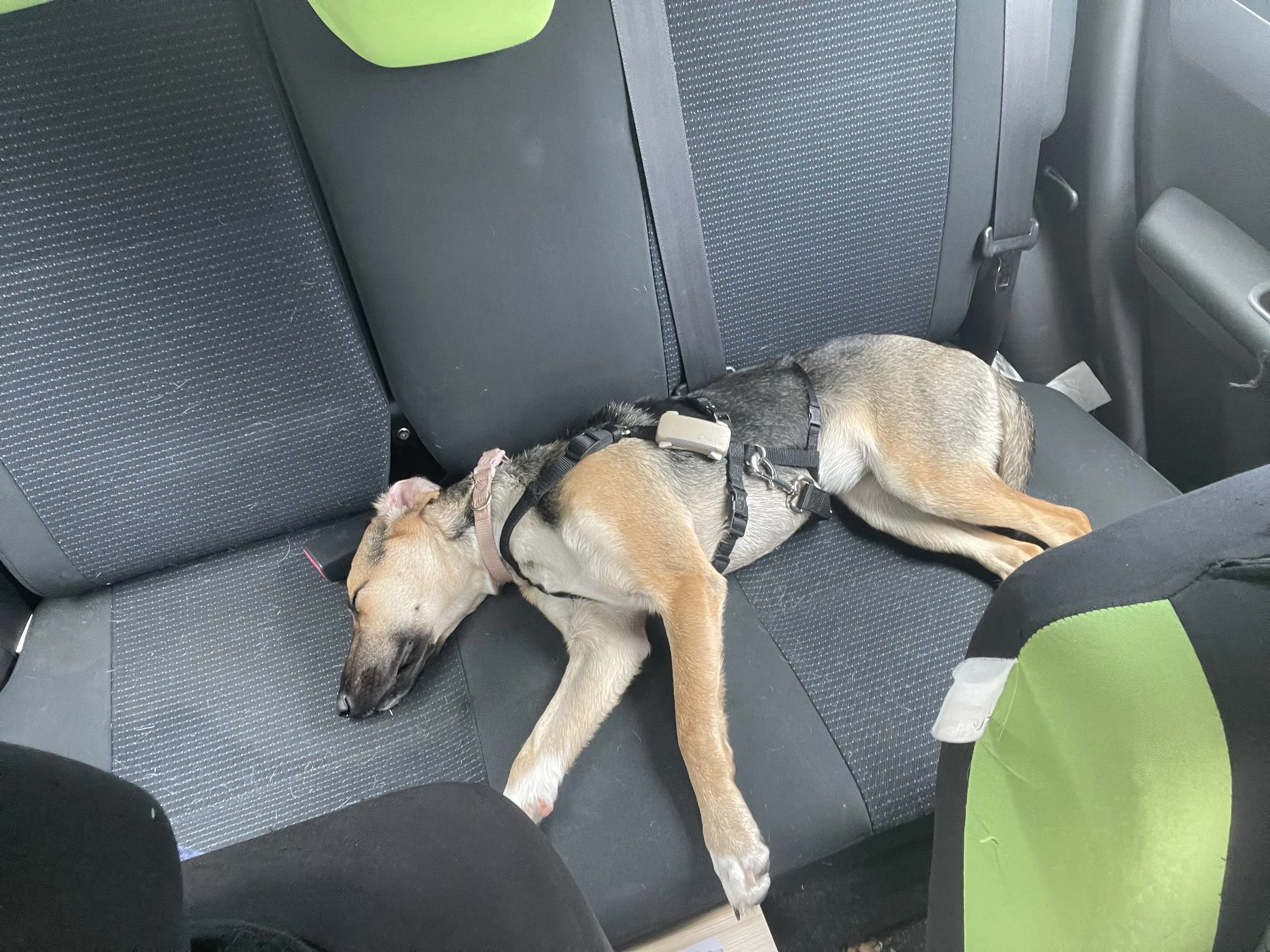 image00013.jpeg