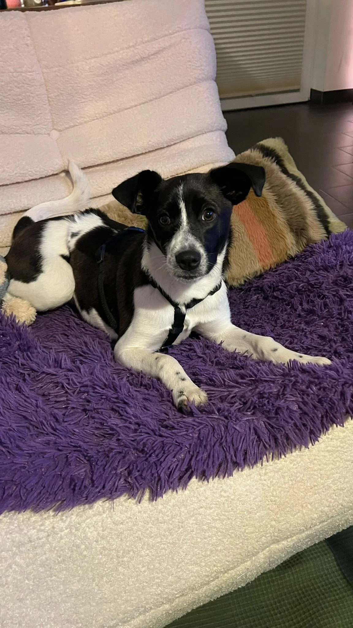 PHOTO-2025-11-11-11-05-40 2.jpg