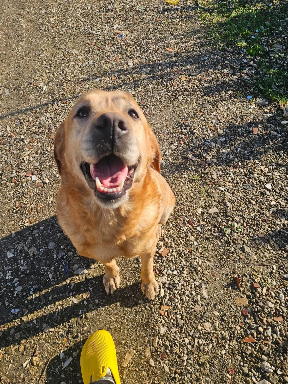 PHOTO-2026-02-03-11-53-50 5.jpg