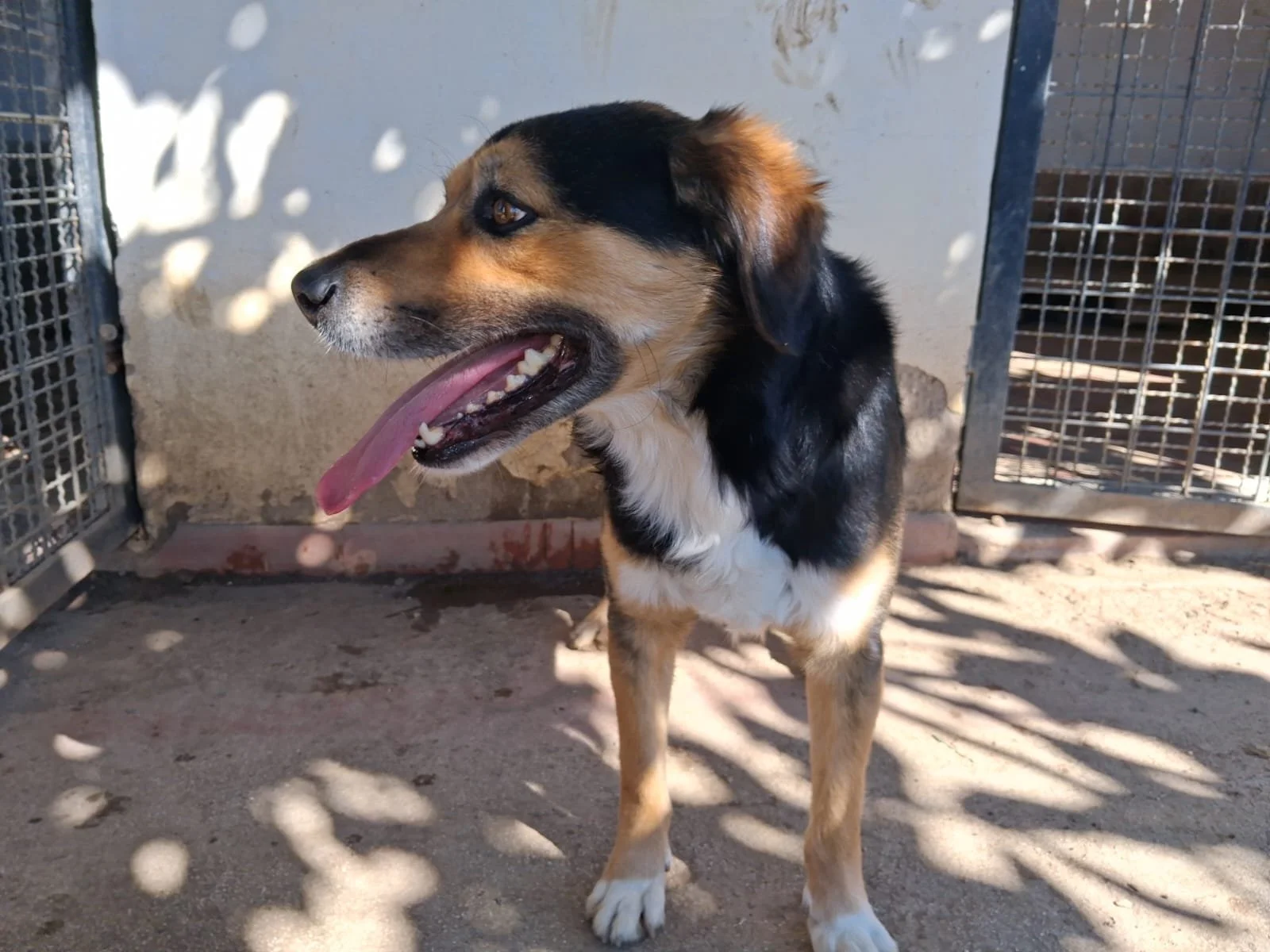 WhatsApp Image 2026-03-19 at 09.53.02 (1).jpeg