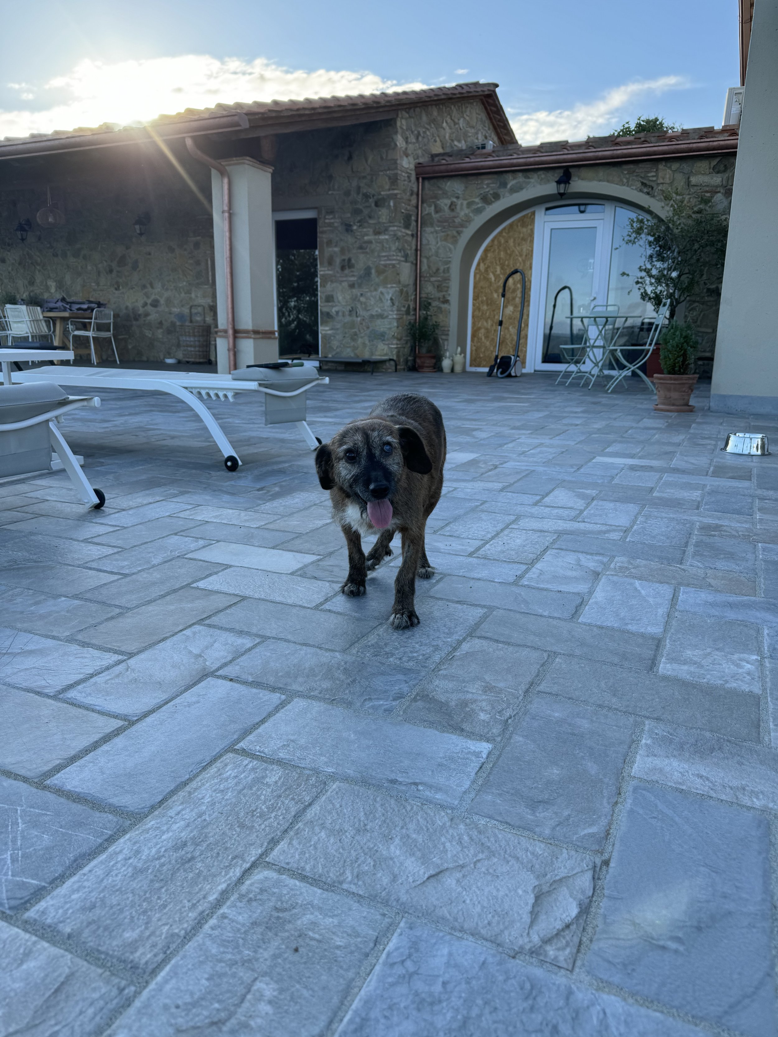 IMG_1062.jpeg