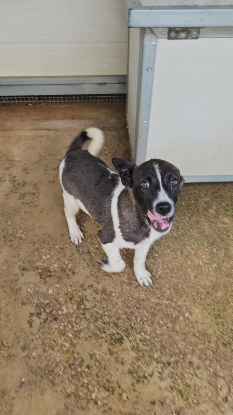 PHOTO-2026-04-09-09-34-32 2.jpg