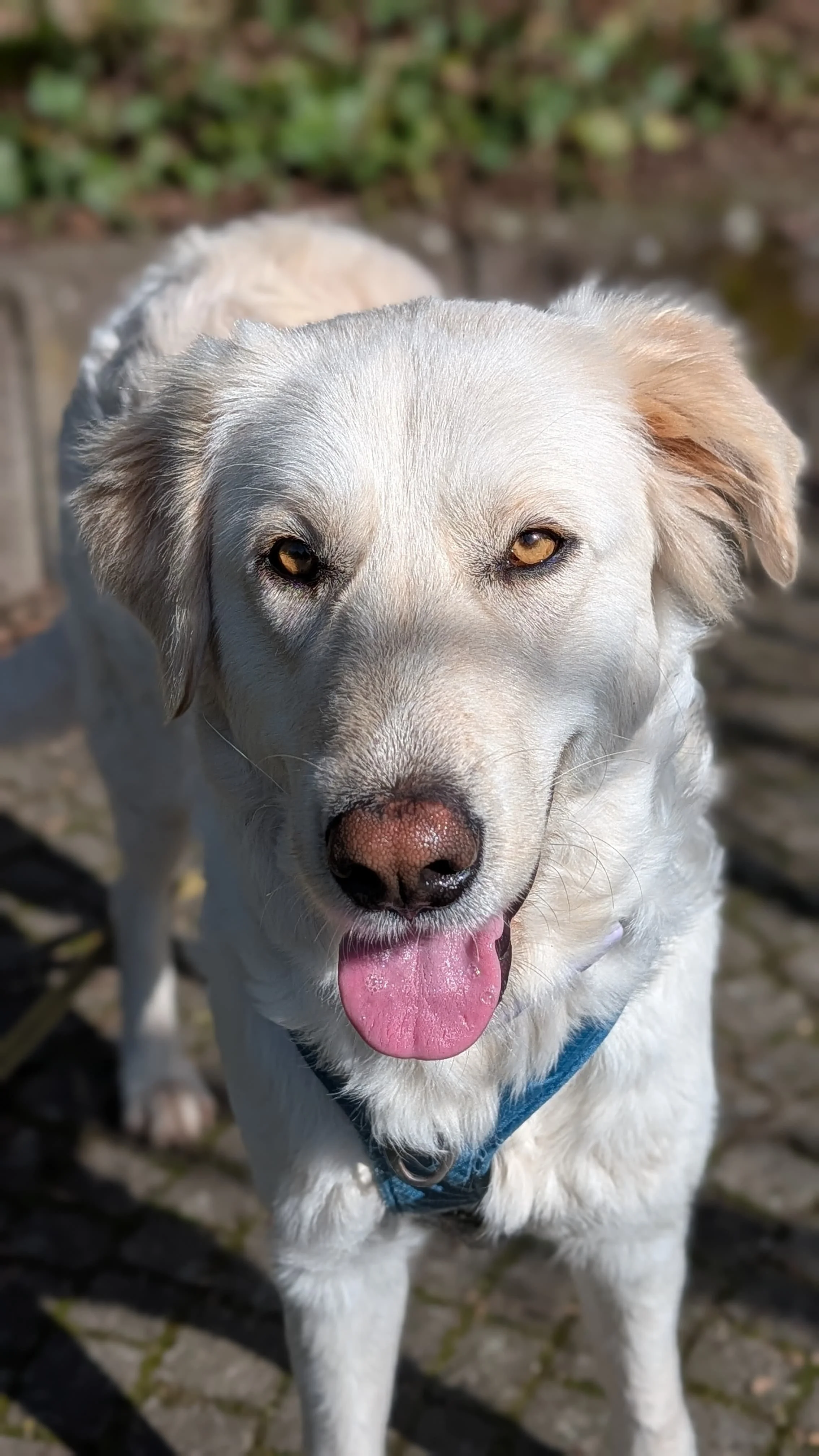 WhatsApp Image 2026-04-08 at 14.38.15.jpeg