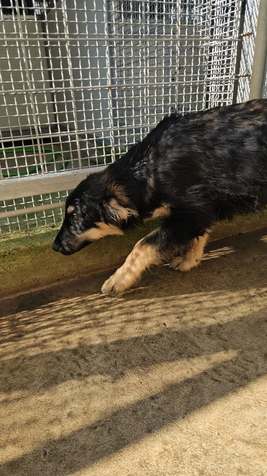 PHOTO-2026-02-02-12-38-34 3.jpg