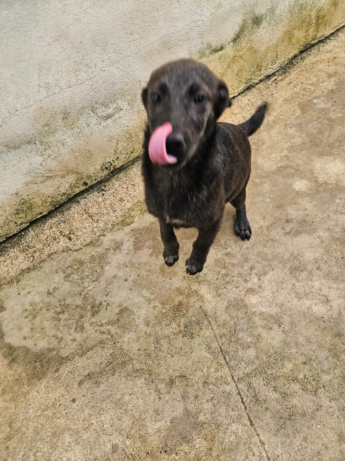 PHOTO-2026-04-09-09-31-22 4.jpg