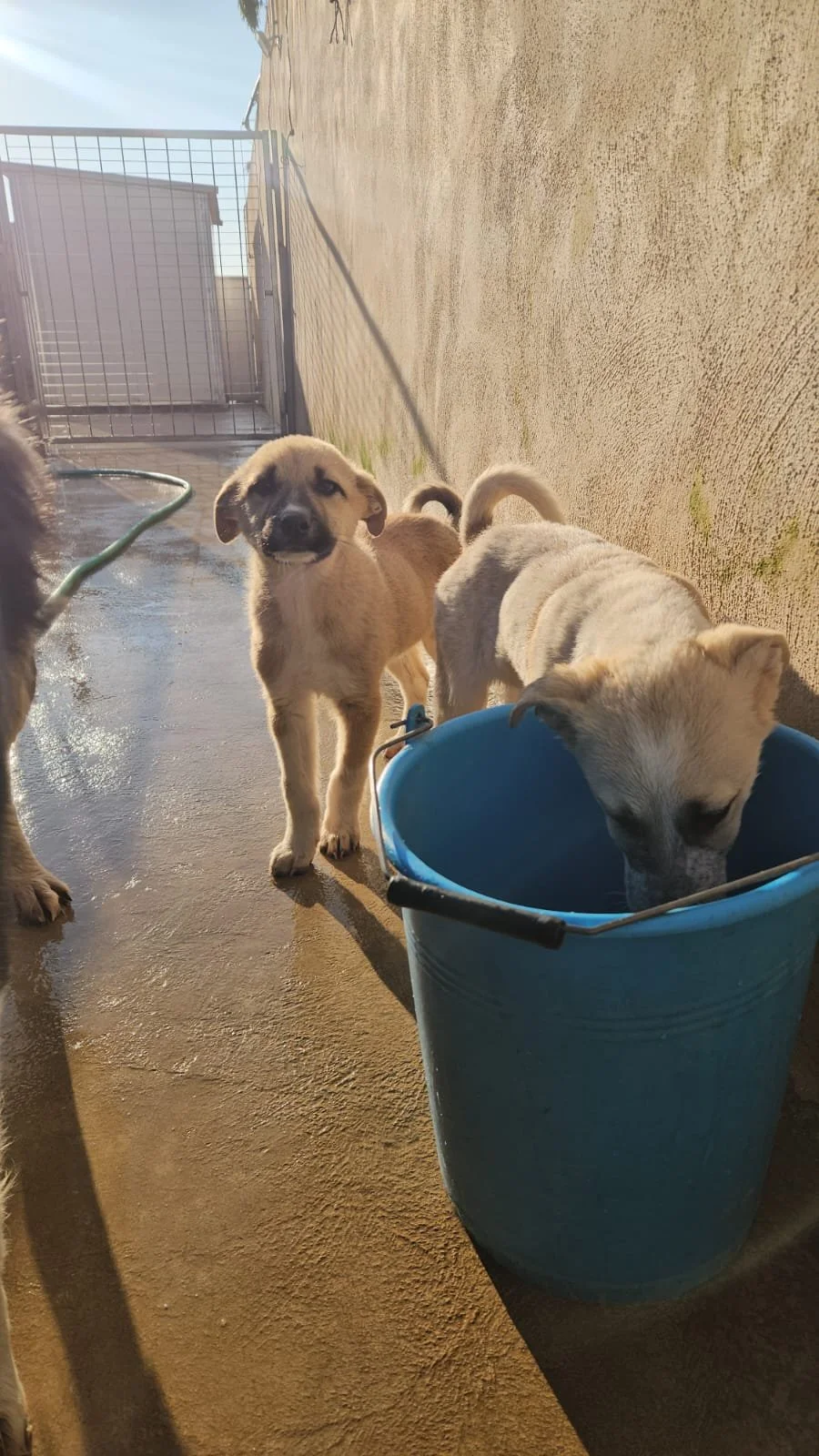 PHOTO-2026-02-02-08-56-47 2.jpg