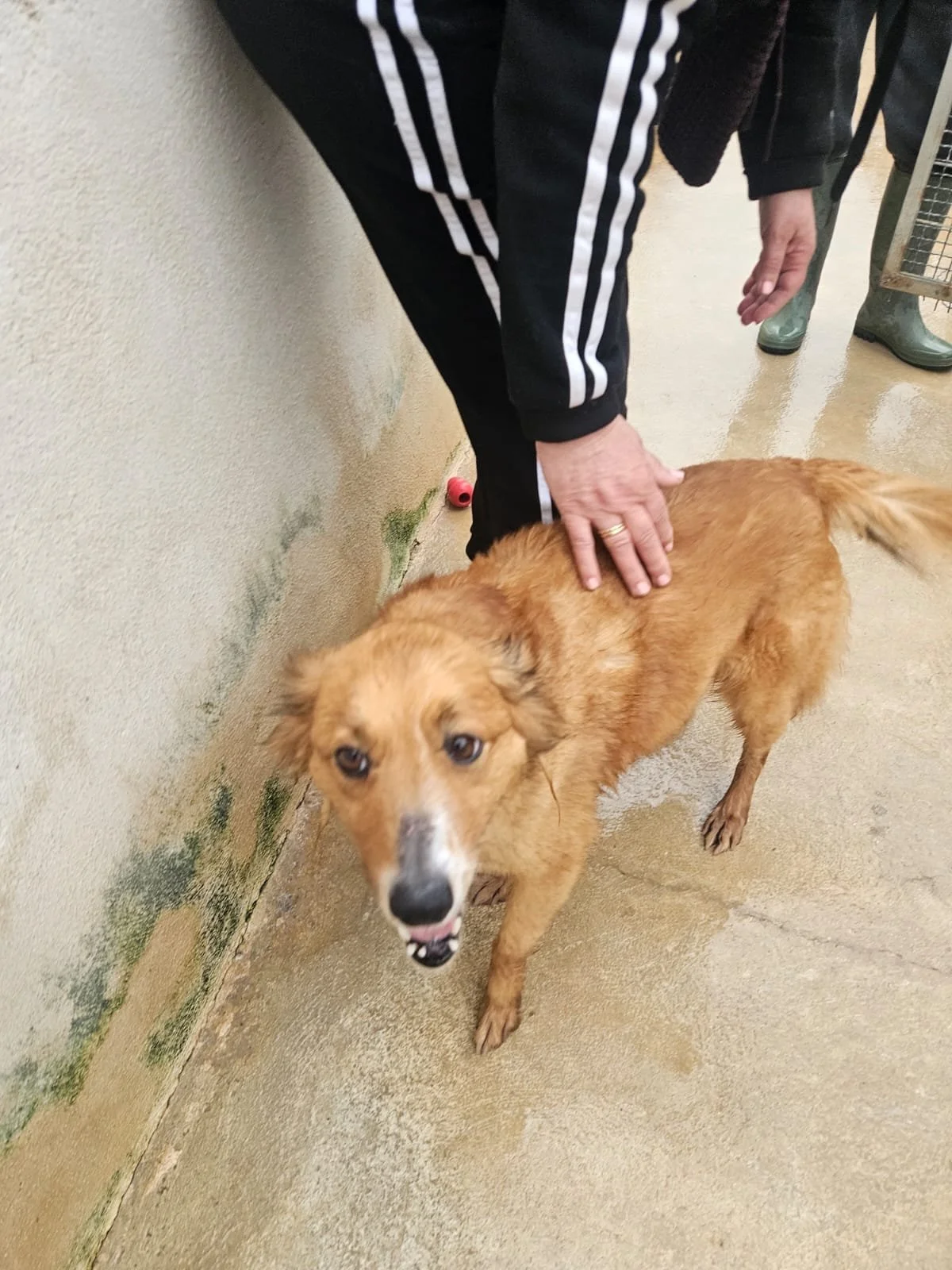 PHOTO-2026-04-14-08-29-17 2.jpg