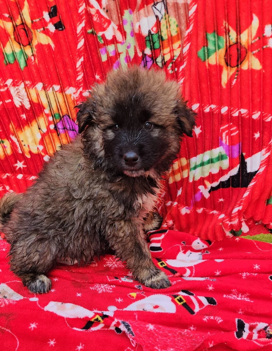 PHOTO-2025-12-10-09-56-21 2.jpg