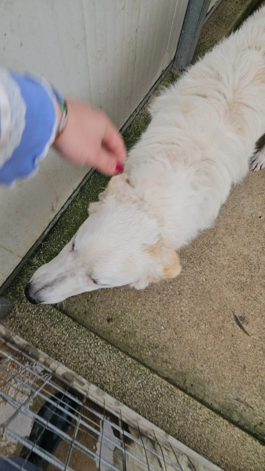 PHOTO-2026-01-07-15-24-13 5.jpg